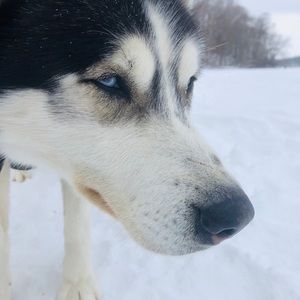 Meet your Posher, Ava